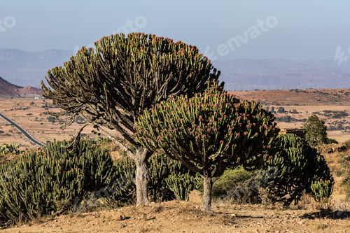 Preview: Landscape In Gheralta In Tigray, Northern Ethiopia, Africa.