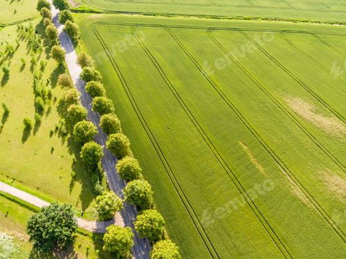 Preview: Drone Image. Aerial View Of Rural Area With Green Fields And Forests In Sunny Summer Day With