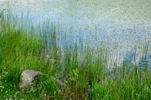 Preview: Scenic Landscape