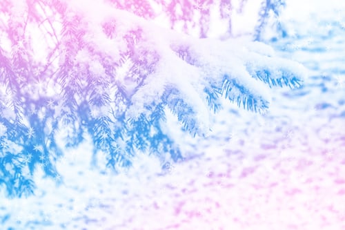 Preview: Frozen Winter Forest With Snow Covered Trees.