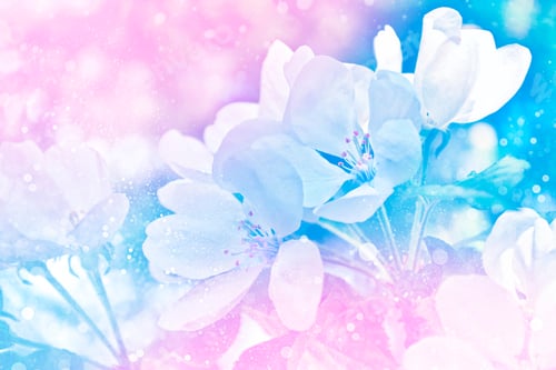 Preview: Blossoming Branch Apple. Bright Colorful Spring Flowers