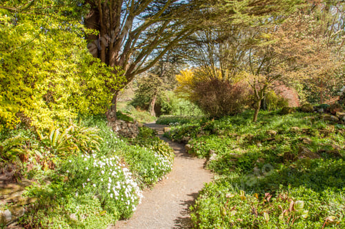 Preview: Country Garden In Worcestershire, United Kingdom.