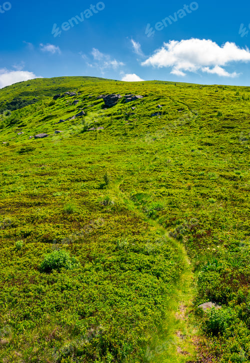 Preview: Footpath Through The Grassy Hills Of The Mountain. Beautiful Summer Scenery In Fine Weather With