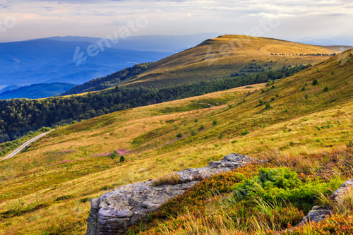 Preview: Mountain Landscape. Valley With Stones On The Hillside. Forest On The Mountain Under The Beam Of
