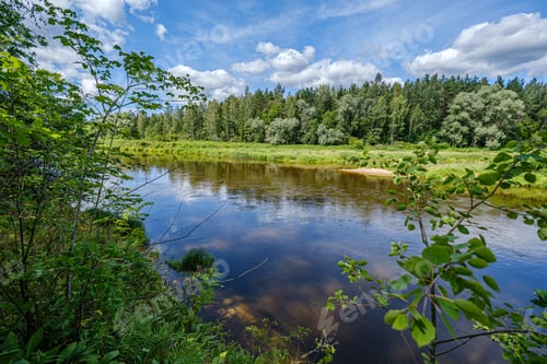 Preview: River Gauja In Latvia, View Through The Trees In Summer Day