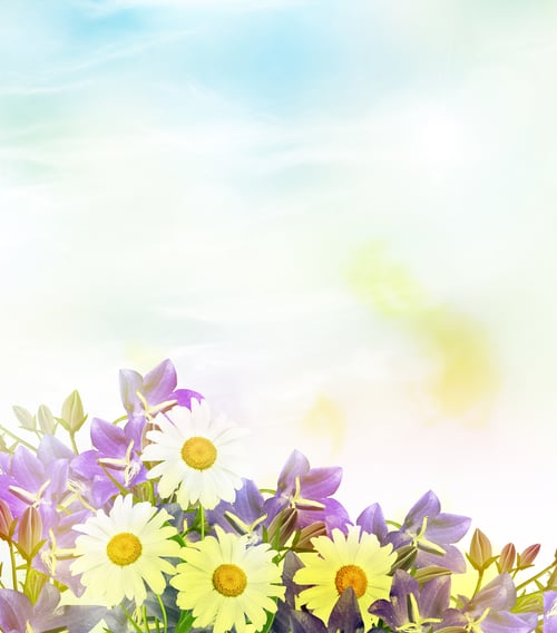 Preview: Summer Landscape. Bell Flower