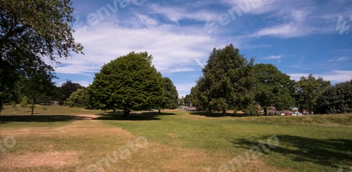 Preview: Deserted Parkland During The Uk Summer Heatwave 2018