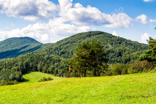 Preview: Mountains Scenery. Panorama Of Grassland And Forest In Beskid Niski Mountains. Carpathian Mountains