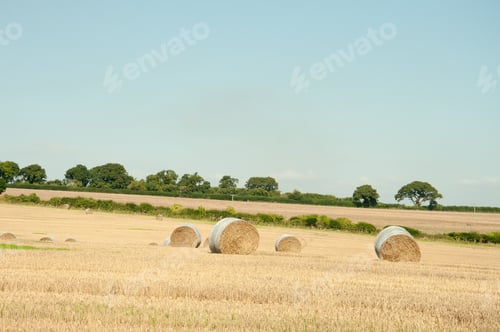 Preview: Bales Of Straw In An English Summertime Field.