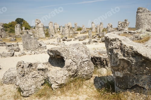 Preview: Pobiti Kamani (The Stone Desert), A Desert-Like Rock Phenomenon Located On The North West Varna
