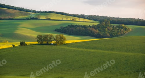 Preview: South Moravia Landscape And Farmland At Sunrise