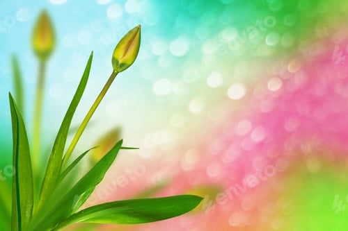 Preview: Bright And Colorful Flowers Tulips On The Background Of Spring Landscape.