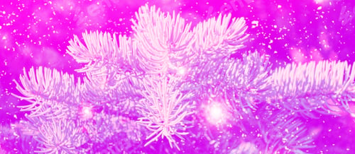 Preview: Frozen Winter Forest With Snow Covered Trees. Pine Branch. Blurred Christmas Background.