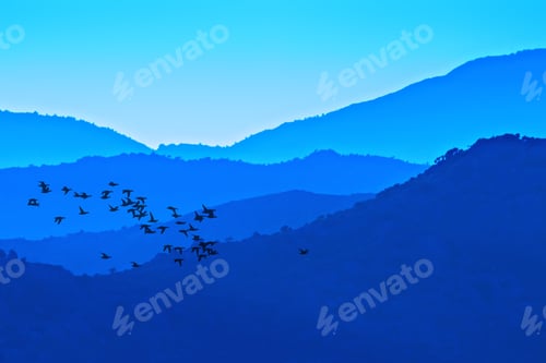 Preview: Flying Birds And Mountains. Blue Nature Background.