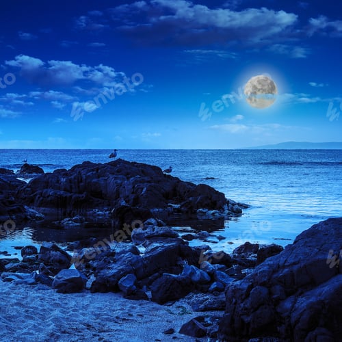 Preview: Few Seagulls Sit On Big Boulders On Sandy Beach Near The Sea Watching Waves At Night In Moon Light