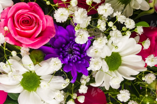 Preview: Background For A Greeting Card - Beautiful Gift Bouquet Of Various Colorful Decorative Summer