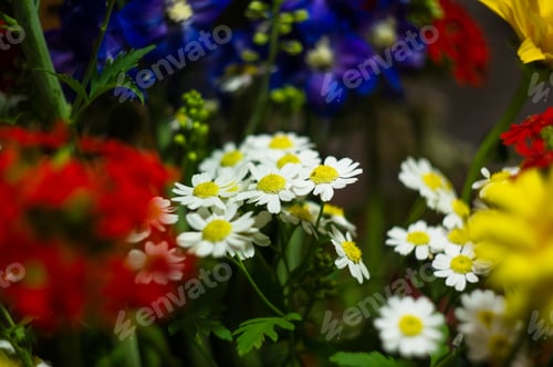 Preview: A Bouquet Of Bright Spring Flowers Of Various Types