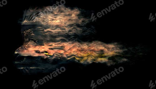 Preview: Abstract Nature. Flying Bird. Dispersion Effect. Black Background.