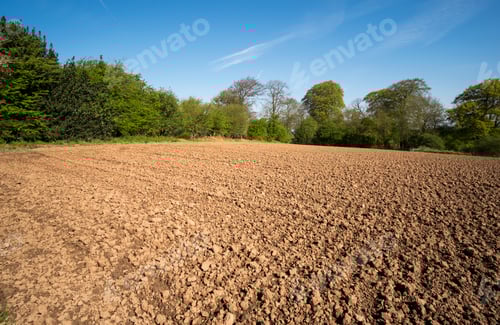 Preview: Brown Dirt Field Ready For Sowing Crops