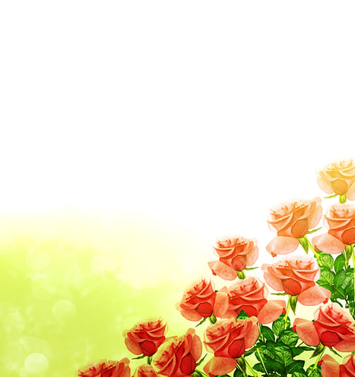 Preview: The Buds Of Flowers Roses. Holiday Card