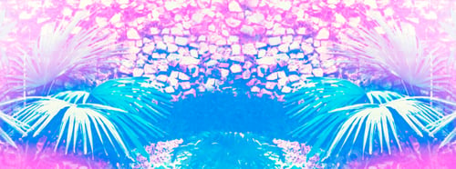 Preview: Blurred. Exotic Palm Flower. Bright And Colorful Leaves