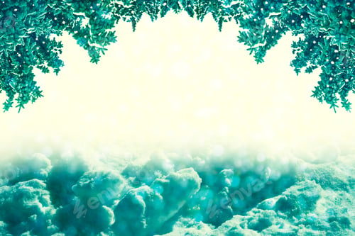 Preview: Christmas Card With Fir Branches. Winter Background.