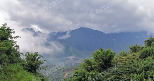 Preview: Natural Landscape Foggy Mountains Misty Hills Forest