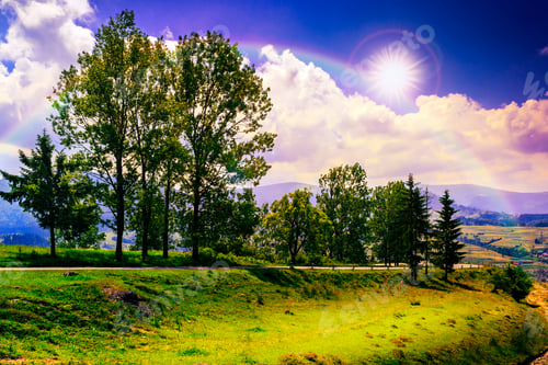 Preview: Empty Asphalt Mountain Road With Painted Single White Line Near The Coniferous Forest With Cloudy