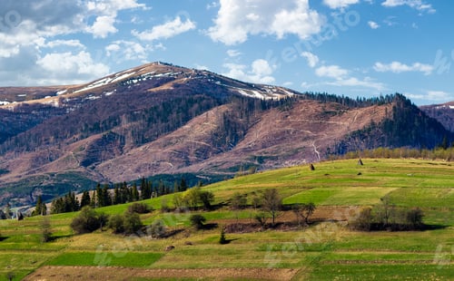 Preview: Rural Fields On A Grassy Hillside In Springtime. Mountain With Snowy Tops In The Distance Of