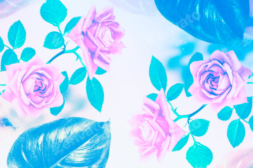 Preview: Bright Colorful Rose Flowers In The Garden. Nature.