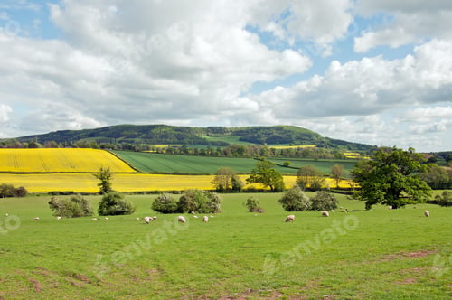 Preview: Springtime Countryside In The Farming Fields Of England.