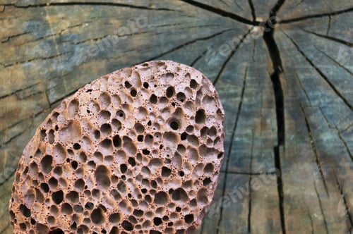 Preview: Macroporous Pumice Stone Terracotta Color With A Cord On Old Shabby Wooden Background