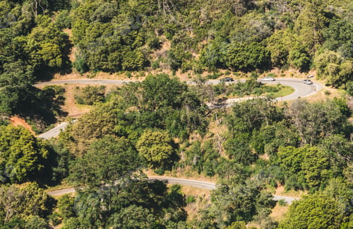 Preview: Aerial View Of The Picturesque Green Forest And Winding Road In Sequoia National Park, California