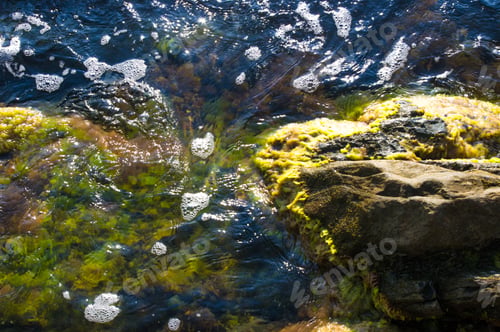 Preview: Rocky Sea Shore With With Seaweed, Waves With Foam