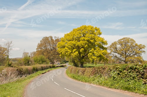 Preview: Country Road In The Herefordshire Countryside Of England.