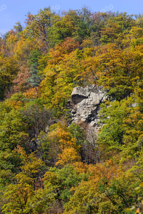 Preview: Mountain Forest In Autumn Colors, Armenia