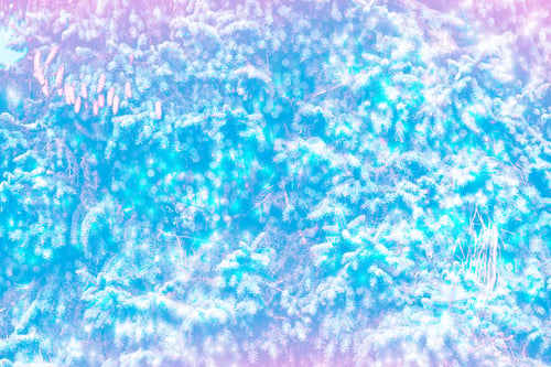 Preview: Blurred. Frozen Winter Forest With Snow Covered Trees.