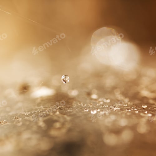 Preview: Abstract Composition With Water Drops, Spiderwebs And Bokeh. Image Has Grain Texture Visible On Its