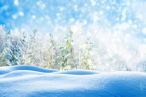 Preview: Frozen Winter Forest With Snow Covered Trees.
