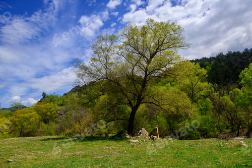 Preview: Amazing Early Spring Landscape, Armenia