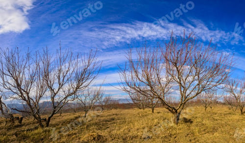 Preview: Marvelous Skyscape, Armenia