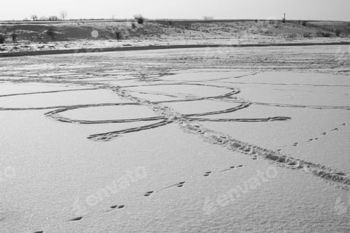 Preview: Winter Landscape With Dried Plants