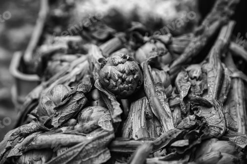 Preview: Detail Of Fresh Vegetables In A Food Market