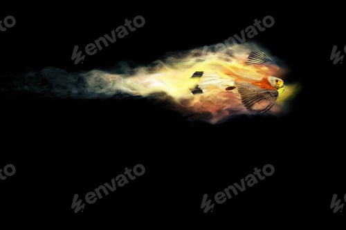 Preview: Abstract Nature. Flying Bird. Dispersion Effect. Black Background.