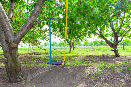 Preview: Swing In The Garden . Cherry Trees In The Spring
