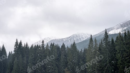 Preview: Western Carpathian Mountain Tops In Winter Covered In Snow On A Sunny Day. Slovakia