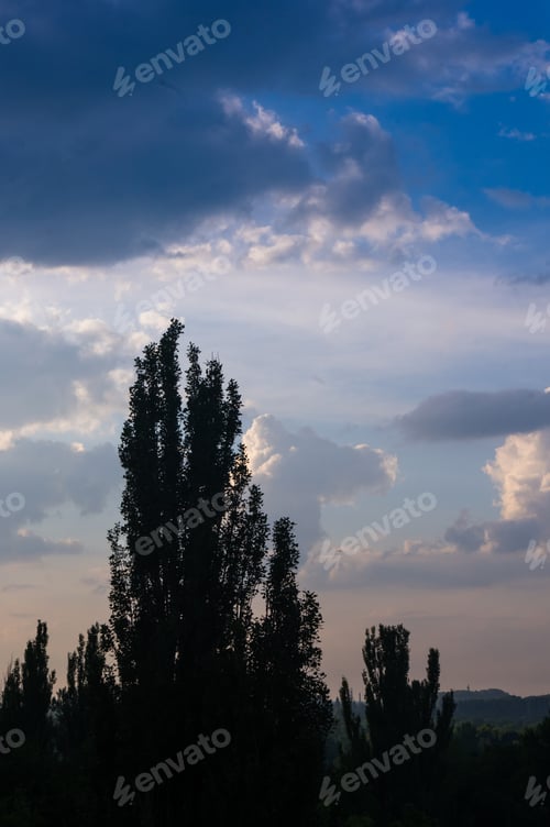 Preview: Landscape With Dramatic Light