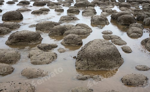 Preview: Rounded Boulders Exposed At Low Tide