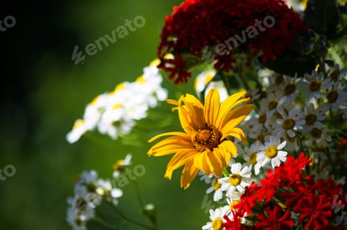 Preview: A Bouquet Of Bright Spring Flowers Of Various Types