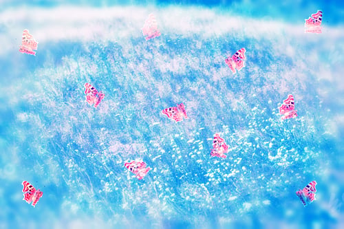 Preview: Blurred Image Of Grass. Summer Colorful Abstract Background.